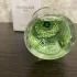 Guerlain Aqua Allegoria Rosa Verde