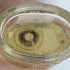 Guerlain Jicky pic-367186