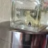 Guerlain Jicky