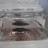 Guerlain La Petite Robe Noire Eau de Toilette pic-4136
