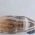 Guerlain Shalimar Eau De Toilette pic-57861