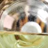Guerlain Aqua Allegoria Nerolia Vetiver pic-7534