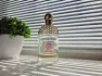 Guerlain Aqua Allegoria Mandarine Basilic pic-81474