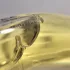 Issey Miyake A Drop d`Issey pic-194871