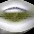 Issey Miyake L`Eau d`Issey Pour Homme