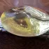 Issey Miyake A Drop d`Issey