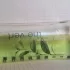 Yves Rocher Fraicheur Vegetale The Vert pic-148232