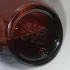 Yves Rocher So Elixir Bois Sensuel pic-215731