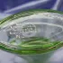 Yves Rocher Fraicheur Vegetale The Vert