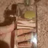 Yves Rocher Comme Une Evidence L`Eau de Parfum (Eau de Parfum) pic-71556