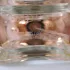 Marc Jacobs Daisy Eau So Fresh pic-167734