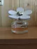 Marc Jacobs Daisy Love