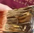 Marc Jacobs Decadence Rouge Noir
