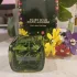 Marc Jacobs Daisy Wild Eau So Extra pic-317840