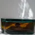 Marc Jacobs Decadence
