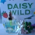 Marc Jacobs Daisy Wild