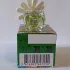 Marc Jacobs Daisy Wild Eau So Intense pic-372098