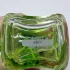 Marc Jacobs Daisy Wild Eau So Intense pic-379342