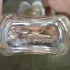 Marc Jacobs Daisy Eau So Fresh pic-382650