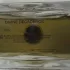 Marc Jacobs Decadence Divine pic-7841