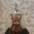 Jean Paul Gaultier Classique Eau de Parfum pic-204307