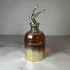 Jean Paul Gaultier Scandal Absolu pic-206878