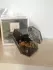 Lancome Tresor La Nuit Dentelle de Roses