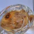 Lancome O Zenith