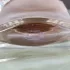 Lancome La Vie Est Belle Vanille Nude