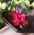 Lancome Tresor La Nuit Intense pic-192573