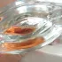 Lancome La Vie Est Belle L`Eau de Parfum
