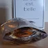 Lancome La Vie Est Belle L`Eau de Parfum Intense pic-336488