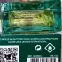 Lolita Lempicka Green Lover
