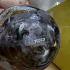 Lolita Lempicka Lolita Lempicka