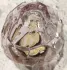 Lolita Lempicka Mon Eau pic-225192