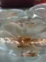 Lolita Lempicka Si Lolita pic-27174