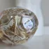 Lolita Lempicka L`Eau Jolie