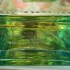 Lolita Lempicka Green Lover pic-34564