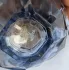 Lolita Lempicka Mon Premier