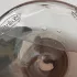 Mauboussin Mademoiselle Twist