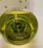 Gres Cabotine de Gres pic-198743