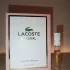 Lacoste Original For Her pic-378598