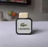Lacoste Lacoste pic-38539