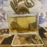 Kenzo Jungle L`Elephant