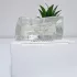Kenzo L`Eau Kenzo Pour Femme pic-227247
