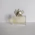 Kenzo Jungle L`Elephant pic-365865