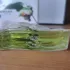 Kenzo Eau de Fleur de The Tea pic-372984