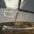 Kenzo Parfum d`Ete