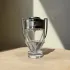 Paco Rabanne Invictus pic-341315