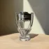 Paco Rabanne Invictus